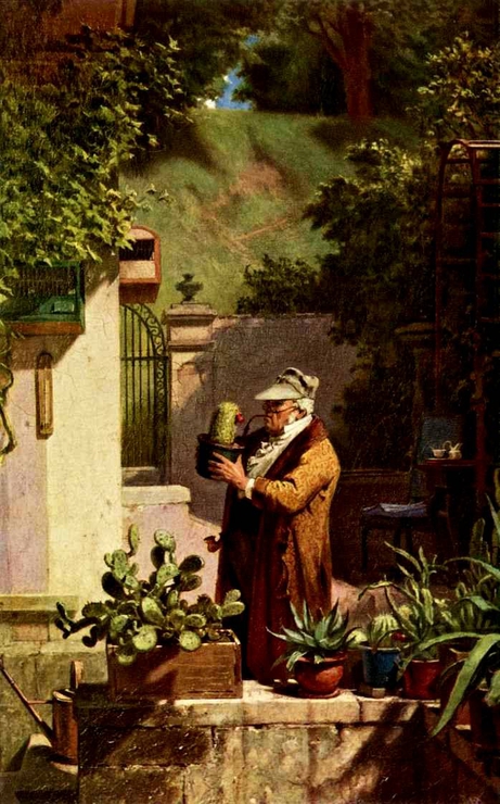 Любитель кактусов, 1845